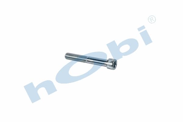 Bolt Hex Socket Head Bolt M12x1 75 L:80 Dkp