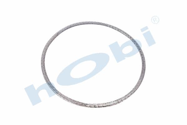 Gasket, DPF, DF Graphite,
