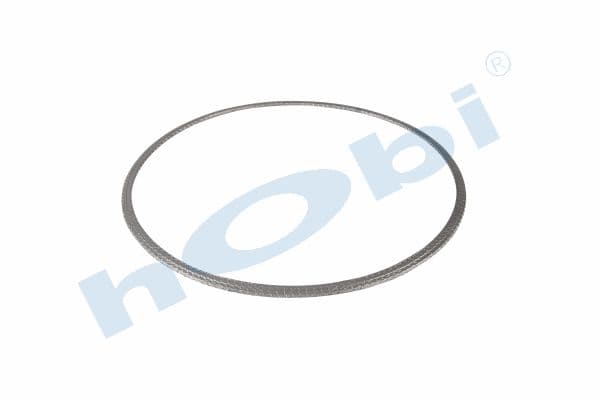 Gasket, DPF, DF CF Graphite,