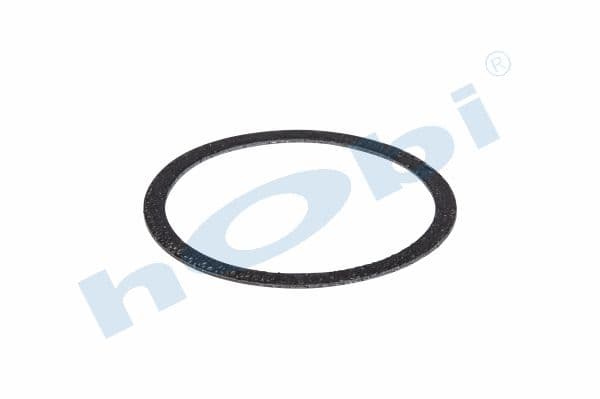 Gasket, DPF Clamp, VL FL Steel,