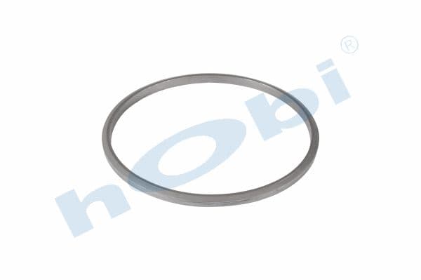 Gasket, DPF, SC Graphite,