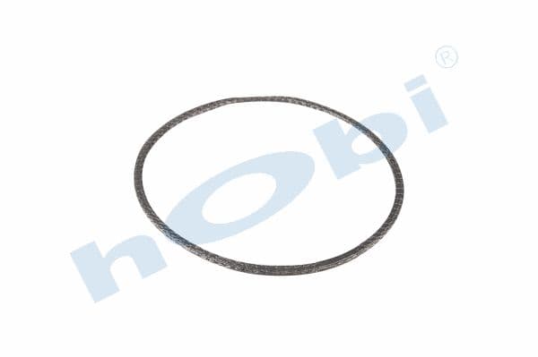 Gasket, DPF, SC Graphite,