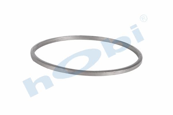 Gasket, DPF, SC Graphite,