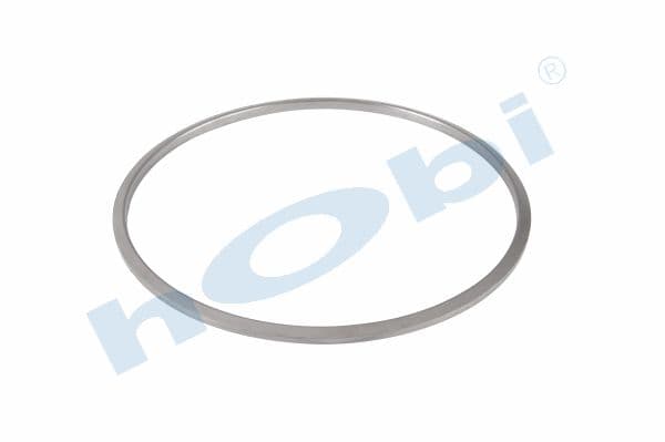 Gasket, DPF, DF Graphite,
