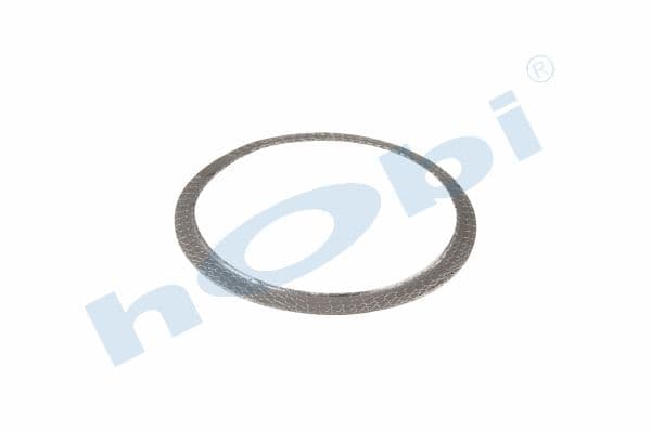 Gasket, DPF, MN Graphite,