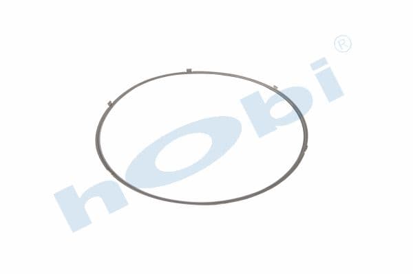 Gasket, DPF, IV Steel,