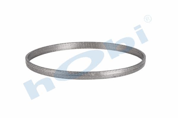 Gasket, DPF, SC Graphite,