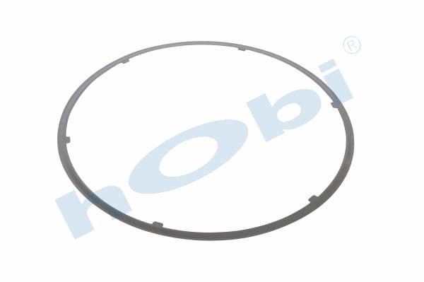 Gasket, DPF, VL FL Steel,
