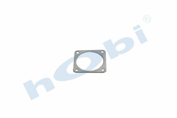 Gasket RN Graphite